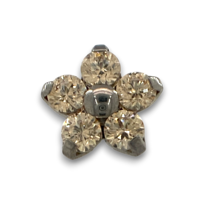 NeoMetal Titan Flower Aufsatz Champagner Threadless