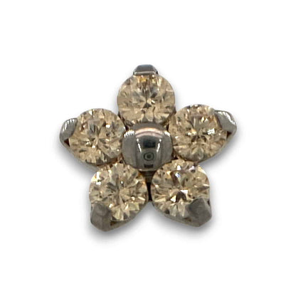 NeoMetal Titan Flower Aufsatz Champagner Threadless